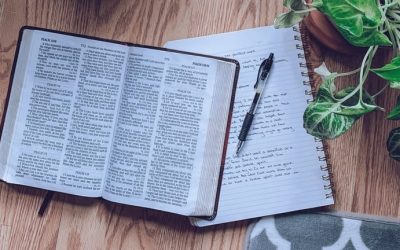 Bible Study Resources